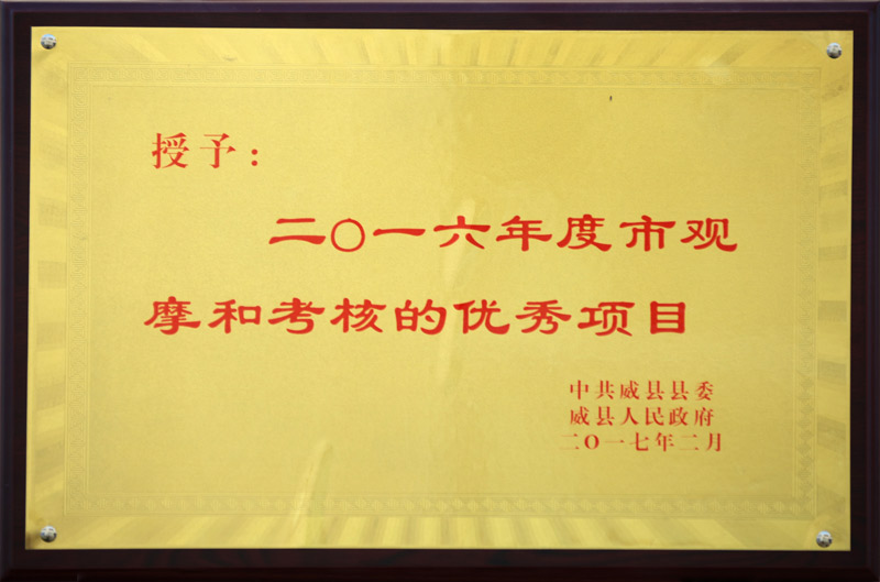 2016年度市观摩和考核的优秀项目